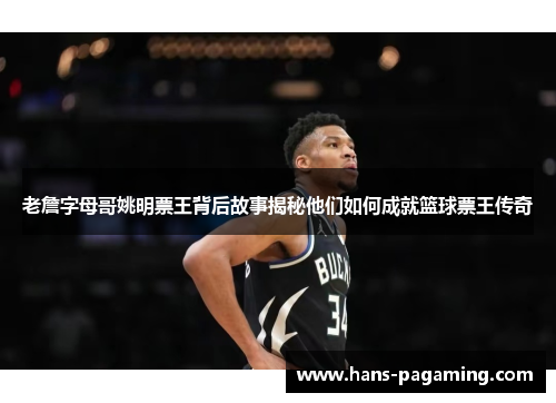 老詹字母哥姚明票王背后故事揭秘他们如何成就篮球票王传奇 老詹字母哥姚明票王背后故事揭秘他们如何成就篮球票王传奇